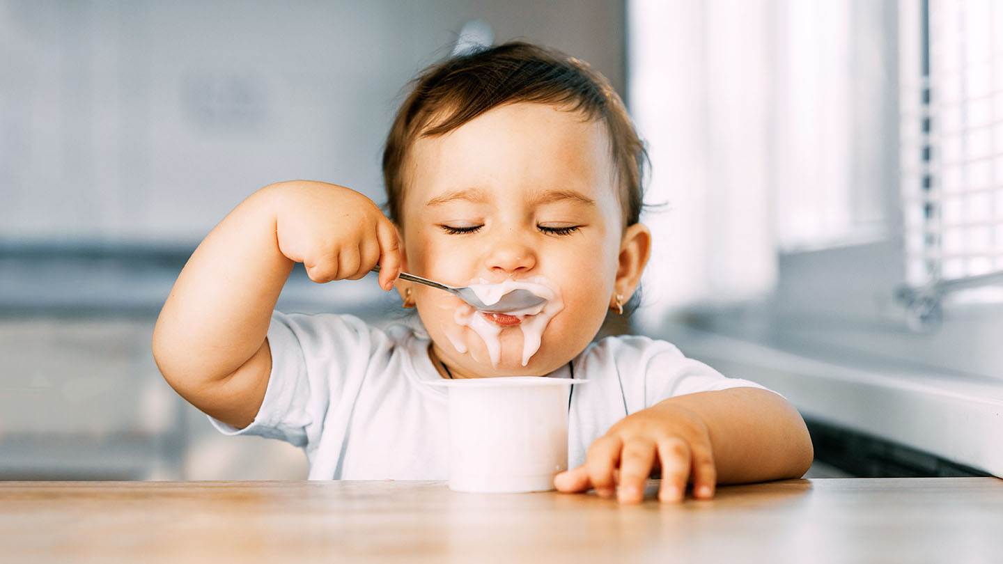 Бебето е јогурт.